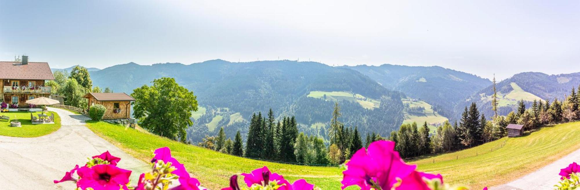 Landhaus Hochkoenig Mühlbach am Hochkönig Εξωτερικό φωτογραφία